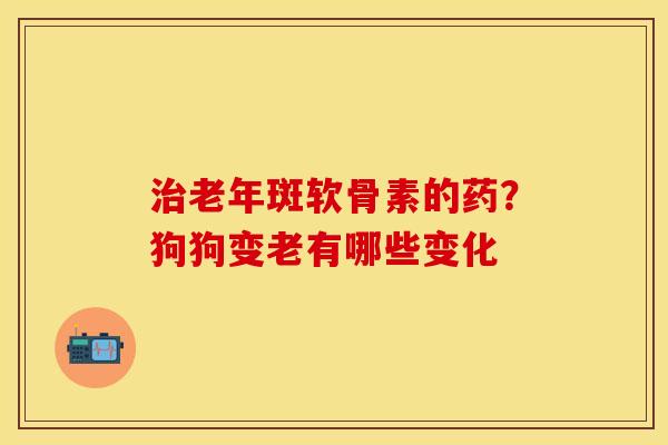 治老年斑软骨素的药？狗狗变老有哪些变化