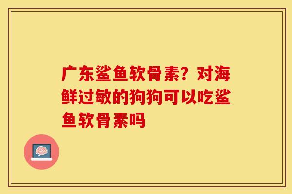 广东鲨鱼软骨素？对海鲜过敏的狗狗可以吃鲨鱼软骨素吗