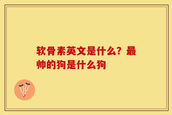 软骨素英文是什么？最帅的狗是什么狗