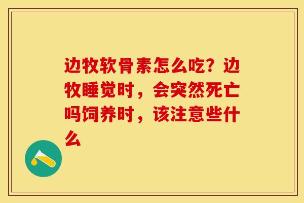 边牧软骨素怎么吃？边牧睡觉时，会突然死亡吗饲养时，该注意些什么