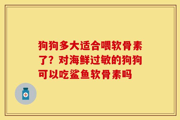 狗狗多大适合喂软骨素了？对海鲜过敏的狗狗可以吃鲨鱼软骨素吗