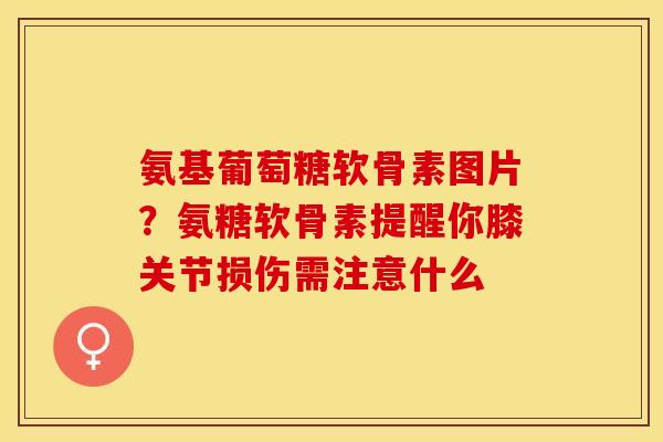 氨基葡萄糖软骨素图片？氨糖软骨素提醒你膝关节损伤需注意什么
