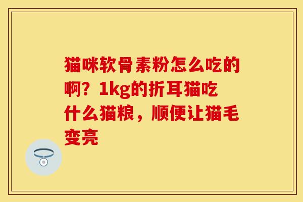 猫咪软骨素粉怎么吃的啊？1kg的折耳猫吃什么猫粮，顺便让猫毛变亮
