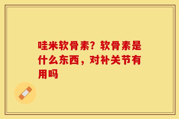 哇米软骨素？软骨素是什么东西，对补关节有用吗