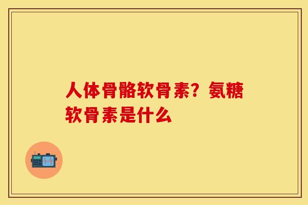 人体骨骼软骨素？氨糖软骨素是什么