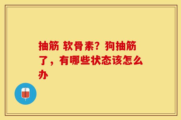 抽筋 软骨素？狗抽筋了，有哪些状态该怎么办