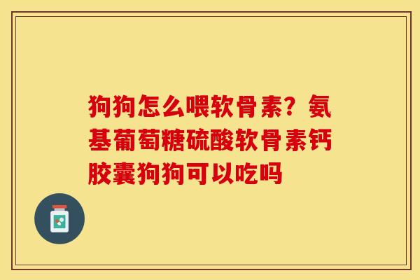 狗狗怎么喂软骨素？氨基葡萄糖硫酸软骨素钙胶囊狗狗可以吃吗