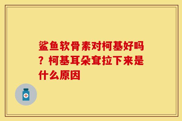 鲨鱼软骨素对柯基好吗？柯基耳朵耷拉下来是什么原因