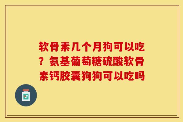 软骨素几个月狗可以吃？氨基葡萄糖硫酸软骨素钙胶囊狗狗可以吃吗