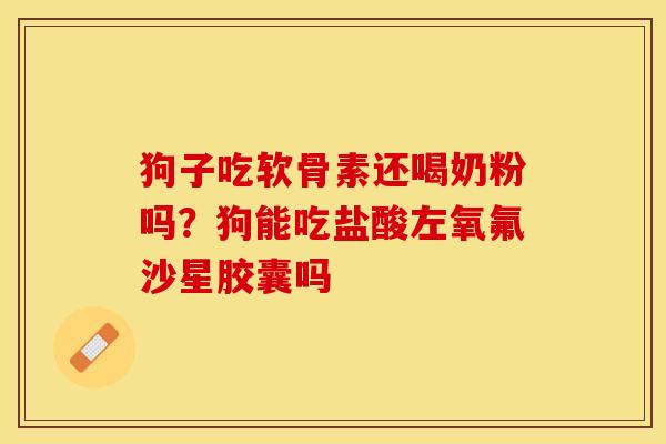 狗子吃软骨素还喝奶粉吗？狗能吃盐酸左氧氟沙星胶囊吗