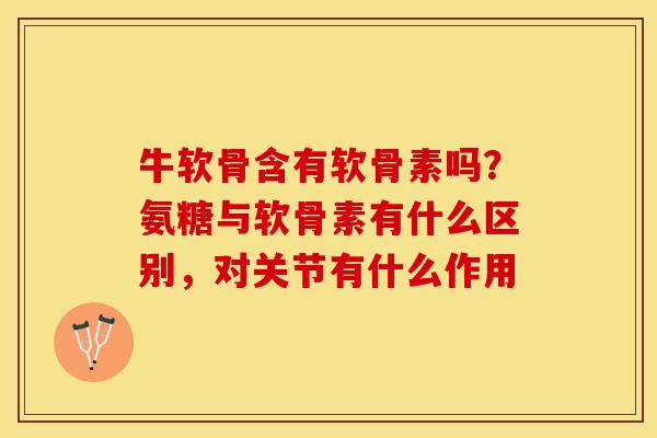 牛软骨含有软骨素吗？氨糖与软骨素有什么区别，对关节有什么作用