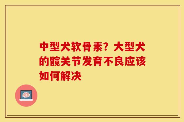 中型犬软骨素？大型犬的髋关节发育不良应该如何解决