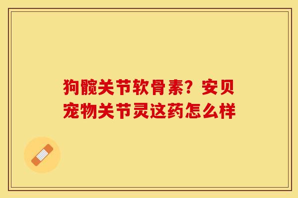 狗髋关节软骨素？安贝宠物关节灵这药怎么样