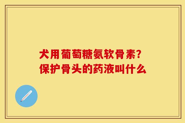 犬用葡萄糖氨软骨素？保护骨头的药液叫什么