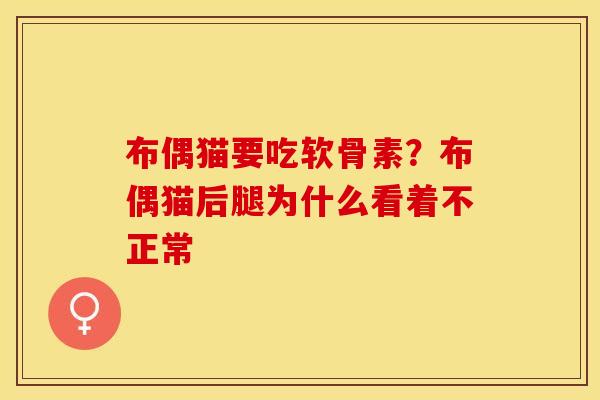 布偶猫要吃软骨素？布偶猫后腿为什么看着不正常
