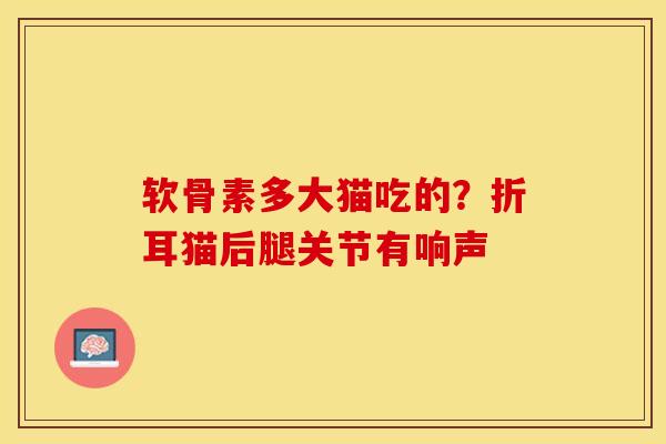 软骨素多大猫吃的？折耳猫后腿关节有响声