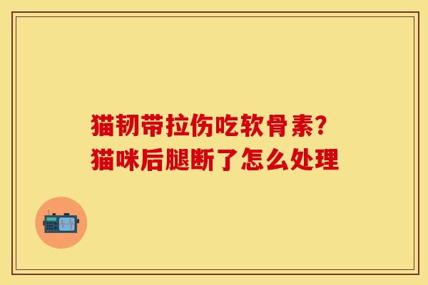 猫韧带拉伤吃软骨素?猫咪后腿断了怎么处理-第1张图片-关节保镖 猫韧带拉伤吃软骨素?猫咪后腿断了怎么处理-第1张图片-关节保镖