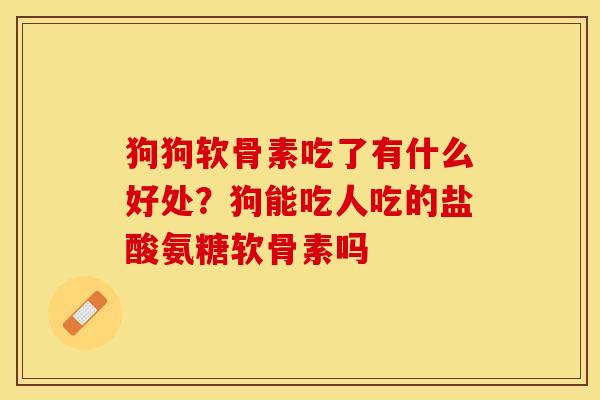 狗狗软骨素吃了有什么好处？狗能吃人吃的盐酸氨糖软骨素吗