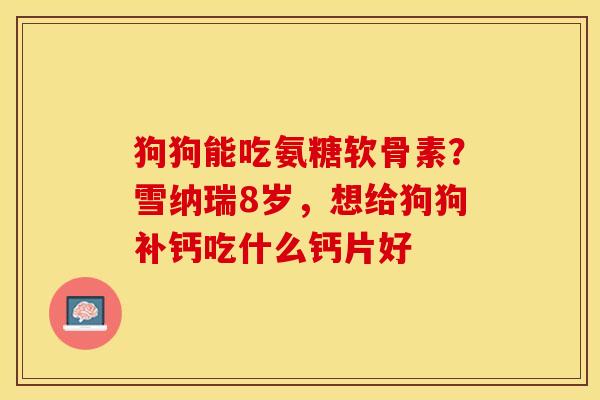 狗狗能吃氨糖软骨素？雪纳瑞8岁，想给狗狗补钙吃什么钙片好