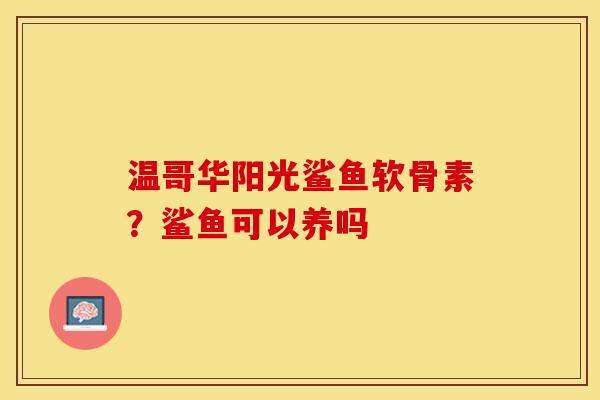 温哥华阳光鲨鱼软骨素？鲨鱼可以养吗