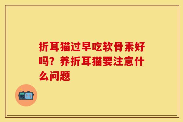 折耳猫过早吃软骨素好吗？养折耳猫要注意什么问题
