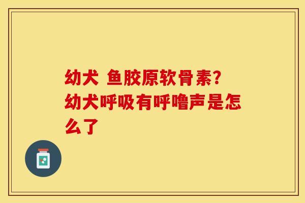 幼犬 鱼胶原软骨素？幼犬呼吸有呼噜声是怎么了