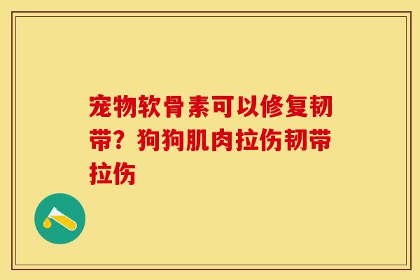 宠物软骨素可以修复韧带？狗狗肌肉拉伤韧带拉伤