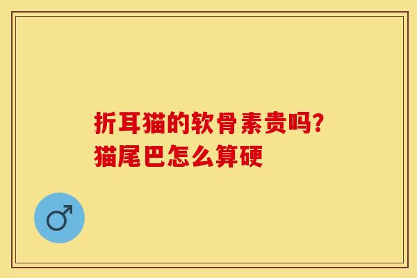 折耳猫的软骨素贵吗？猫尾巴怎么算硬