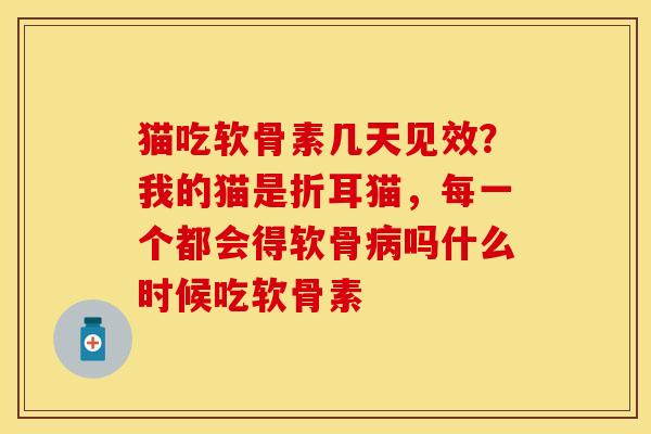 猫吃软骨素几天见效？我的猫是折耳猫，每一个都会得软骨病吗什么时候吃软骨素