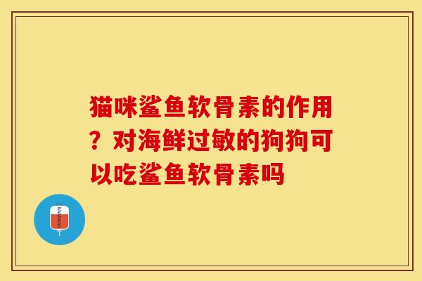 猫咪鲨鱼软骨素的作用？对海鲜过敏的狗狗可以吃鲨鱼软骨素吗