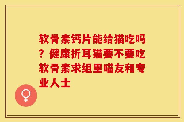 软骨素钙片能给猫吃吗？健康折耳猫要不要吃软骨素求组里喵友和专业人士-第1张图片-关节保镖