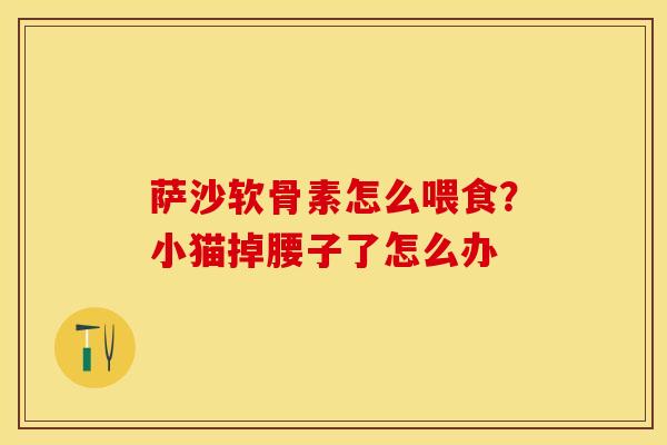 萨沙软骨素怎么喂食？小猫掉腰子了怎么办