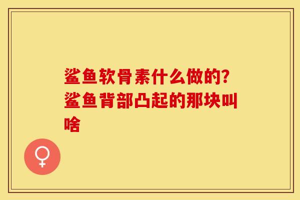 鲨鱼软骨素什么做的？鲨鱼背部凸起的那块叫啥