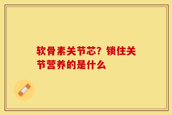 软骨素关节芯？锁住关节营养的是什么