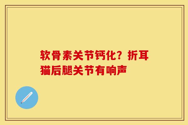 软骨素关节钙化？折耳猫后腿关节有响声
