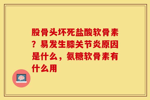 股骨头坏死盐酸软骨素？易发生膝关节炎原因是什么，氨糖软骨素有什么用