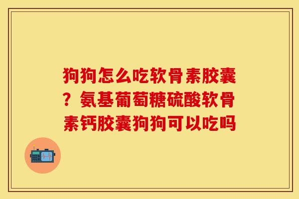 狗狗怎么吃软骨素胶囊？氨基葡萄糖硫酸软骨素钙胶囊狗狗可以吃吗