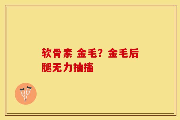 软骨素 金毛？金毛后腿无力抽搐