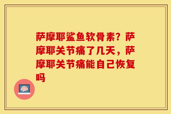 萨摩耶鲨鱼软骨素？萨摩耶关节痛了几天，萨摩耶关节痛能自己恢复吗