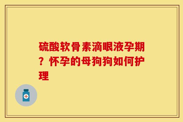 硫酸软骨素滴眼液孕期？怀孕的母狗狗如何护理