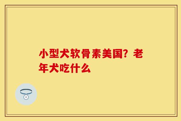 小型犬软骨素美国？老年犬吃什么