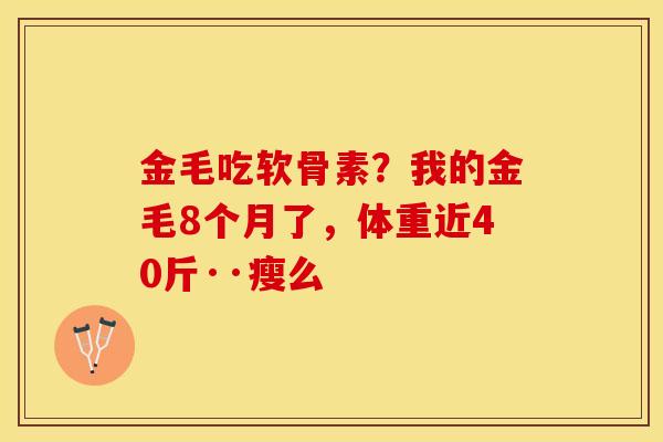 金毛吃软骨素？我的金毛8个月了，体重近40斤··瘦么