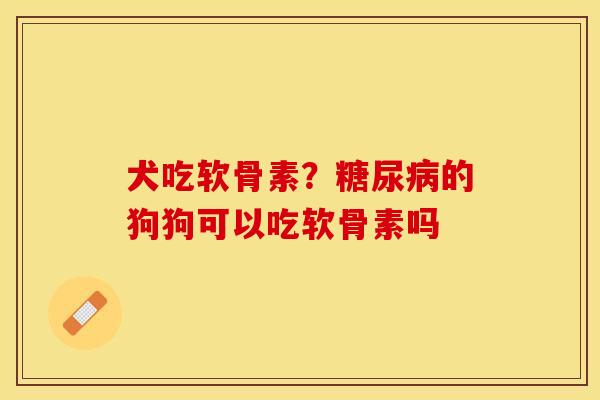 犬吃软骨素？糖尿病的狗狗可以吃软骨素吗