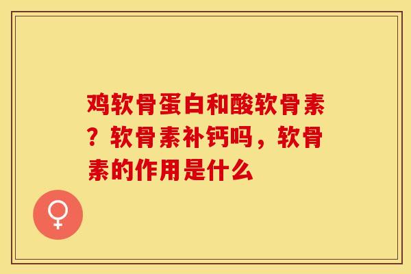 鸡软骨蛋白和酸软骨素？软骨素补钙吗，软骨素的作用是什么