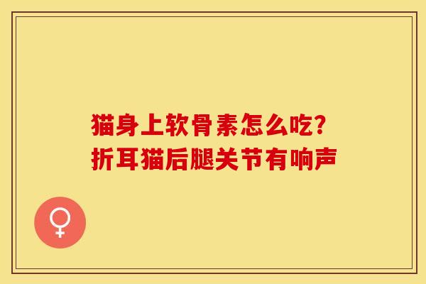 猫身上软骨素怎么吃？折耳猫后腿关节有响声