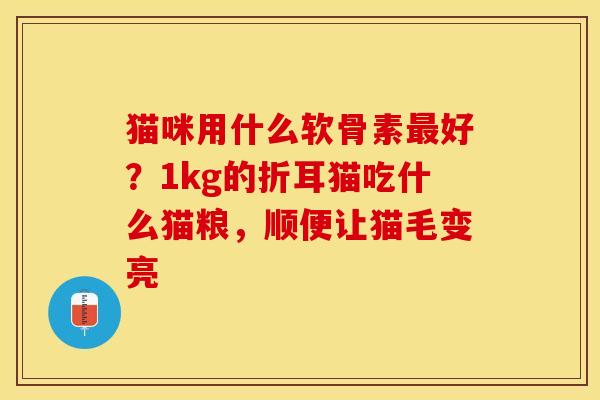 猫咪用什么软骨素最好？1kg的折耳猫吃什么猫粮，顺便让猫毛变亮