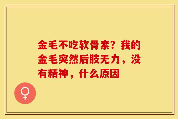 金毛不吃软骨素？我的金毛突然后肢无力，没有精神，什么原因