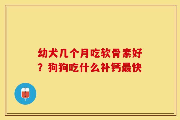 幼犬几个月吃软骨素好？狗狗吃什么补钙最快