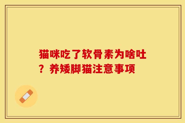 猫咪吃了软骨素为啥吐？养矮脚猫注意事项