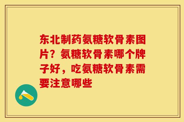 东北制药氨糖软骨素图片？氨糖软骨素哪个牌子好，吃氨糖软骨素需要注意哪些